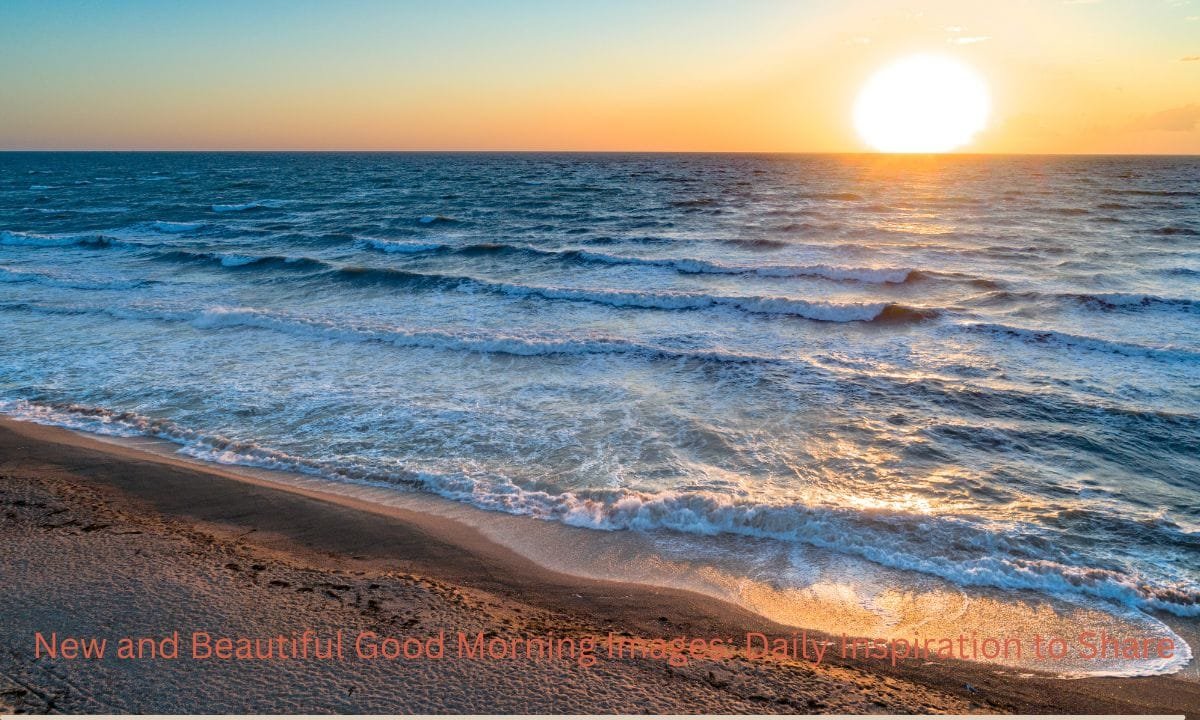 New and Beautiful Good Morning Images