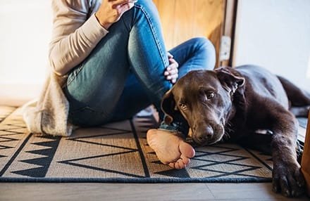 The Importance Of Pain Management In Urgent Care For Pets