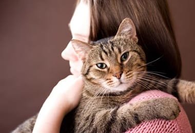 4 Ways Cat Clinics Reduce Stress For Nervous Cats