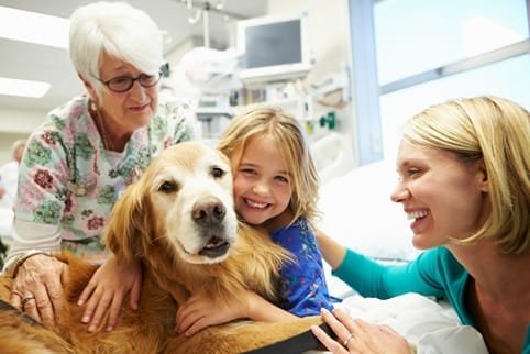 When Urgent Care Complements Long Term Veterinary Treatment Plans