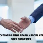 Why Accounting Firms Remain Crucial For Mid-Sized Businesses